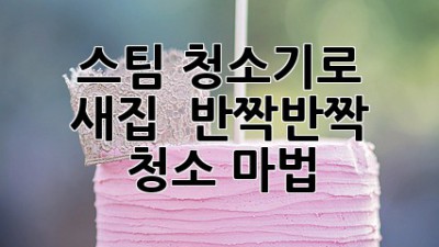 ✨ 스팀 청소기로 새집 ✨ 반짝반짝 ✨ 청소 마법! 🪄